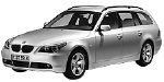 BMW E61 B209E Fault Code
