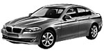 BMW F10 B209E Fault Code